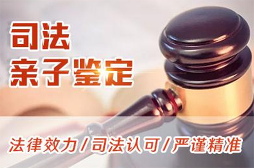 新疆司法亲子鉴定的流程,新疆司法DNA亲子鉴定机构电话号码