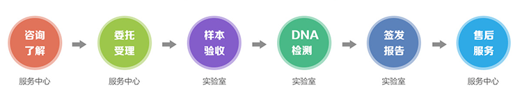 新疆隐私亲子鉴定流程